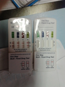 urine strips used to test patient's urine. 2 red lines indicates negative while one red line indicated positive.